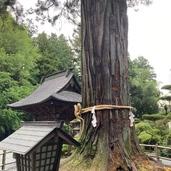ミュージアム後の浅間神社