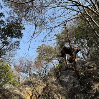 今日も本宮山表参道。
かとたかさん、ラハイナさん、いつも早いのでもう下山したと思います😅
あ、ミツバツツジ、咲きそう⁉️