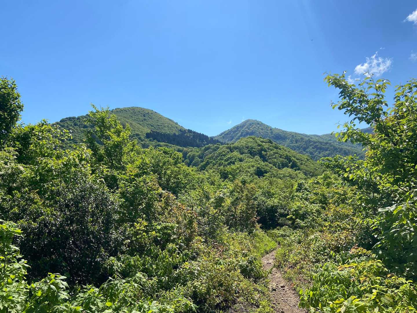 北丈競山と南丈競山が見えて来ました