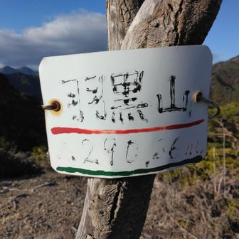 頂上到着。過去に何度か別ルートで来てる山のはず。なのに記憶ない。