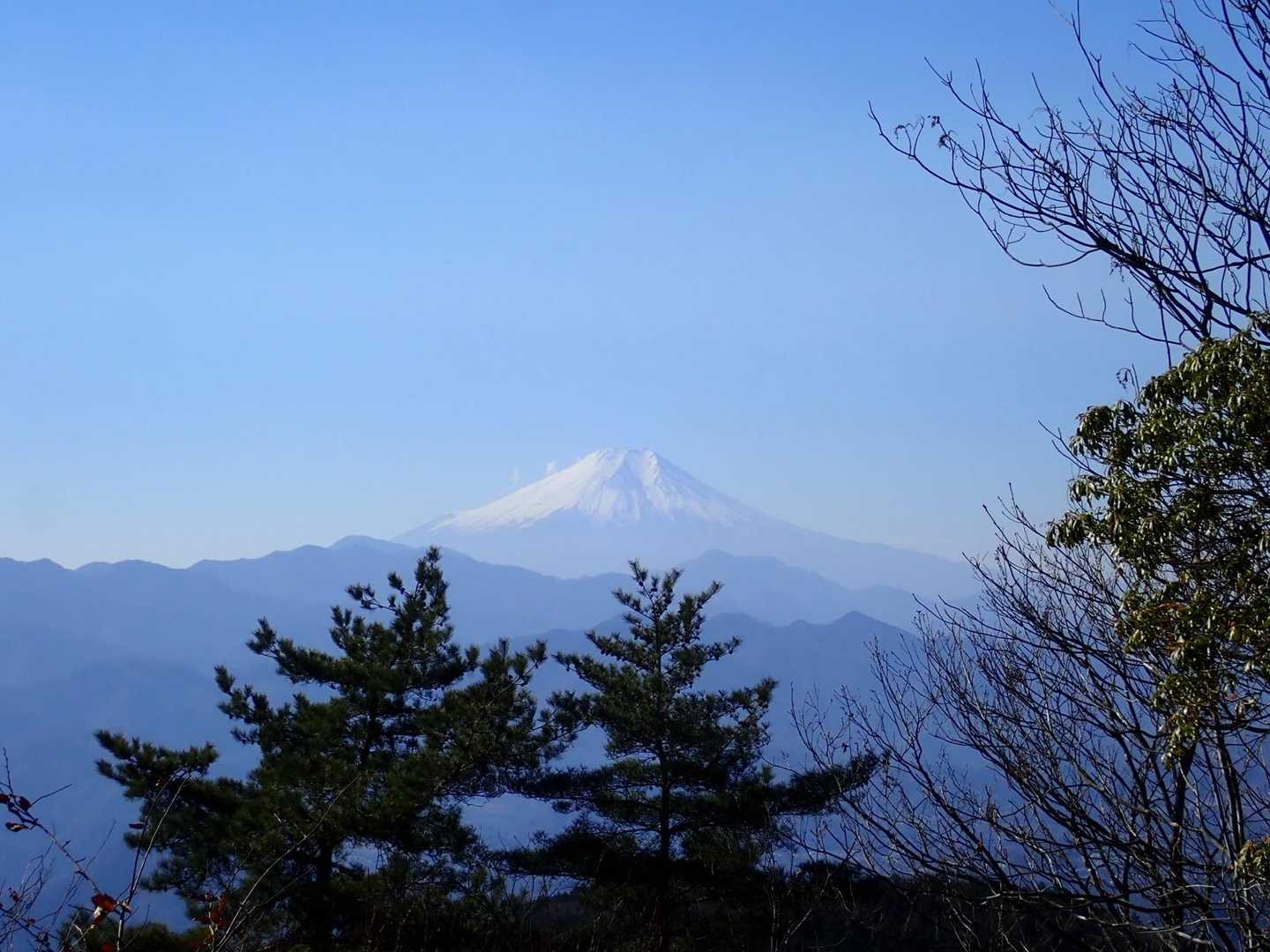 本日も天晴れ☀️