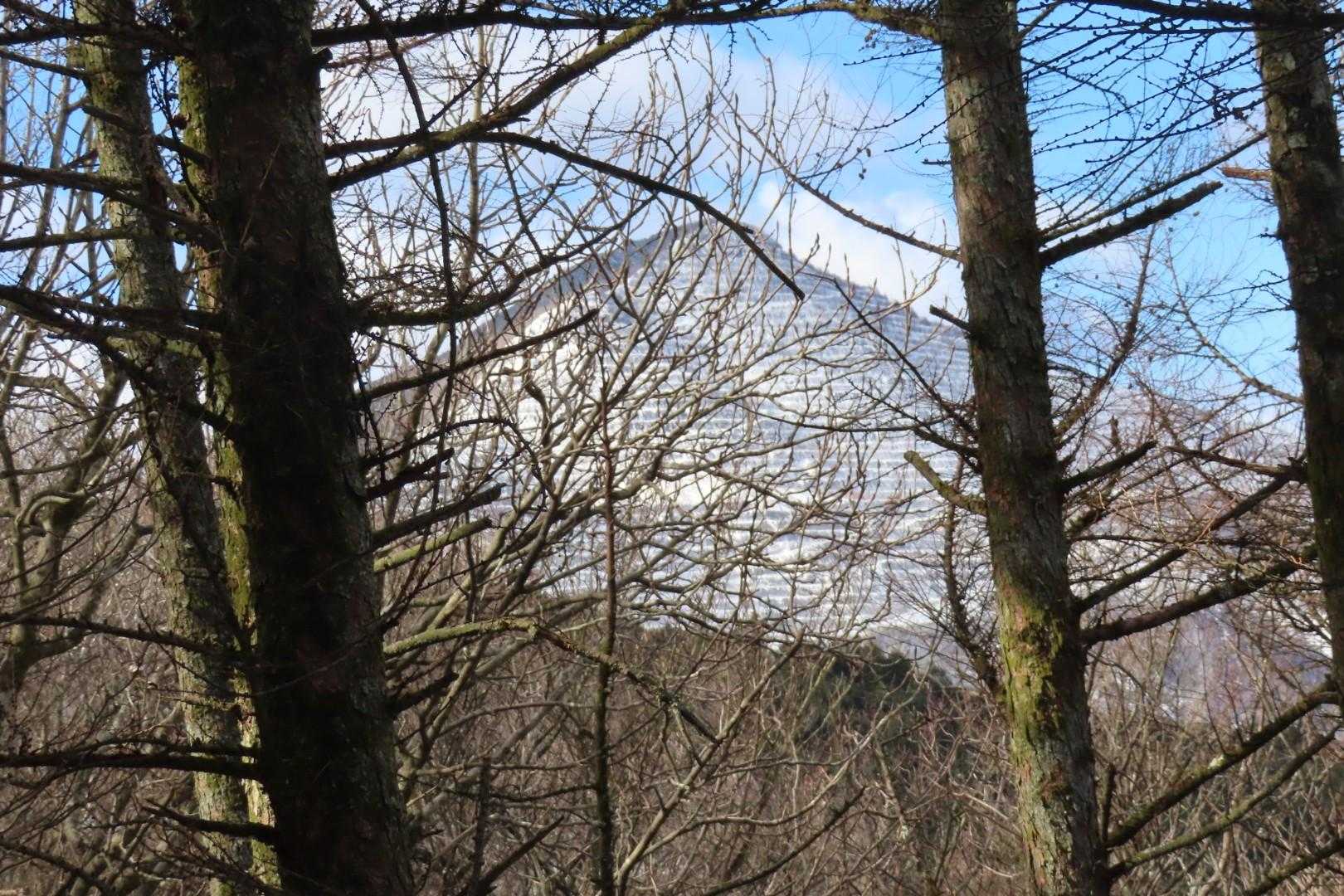 木々の奥に武甲山😊