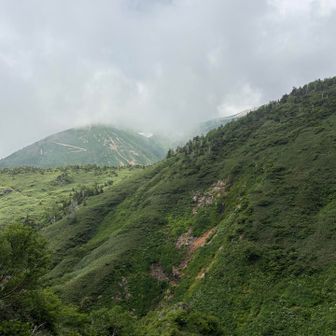 油坂を下る
