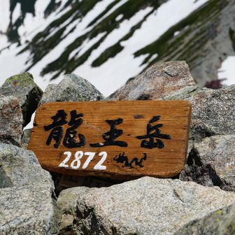 龍がいた！
