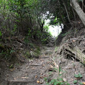 岩屋峠コース、
