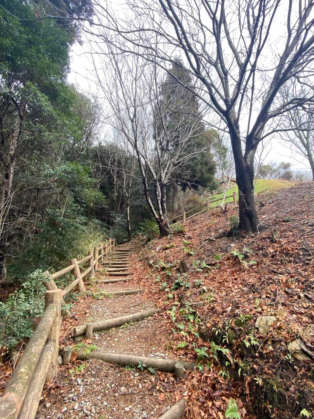 パラパラ☂️遠回りしなくて良かったぁ