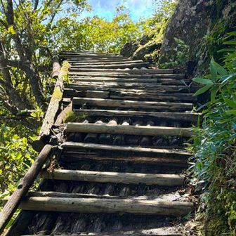 ベンチ２へ向けてされに登ります