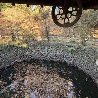 はい…私は下界だとルーファイできません…
ウロウロしてしまった😑