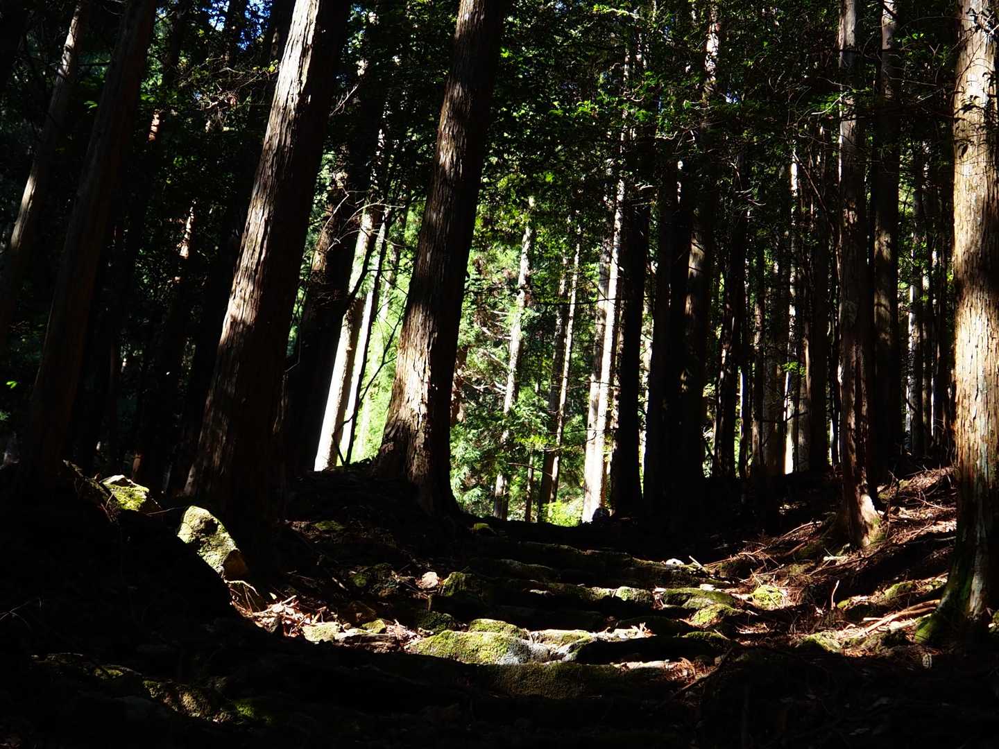 多富気王子-熊野那智大社-青岸渡寺-妙法山阿弥陀寺-妙法山 周回コースの写真