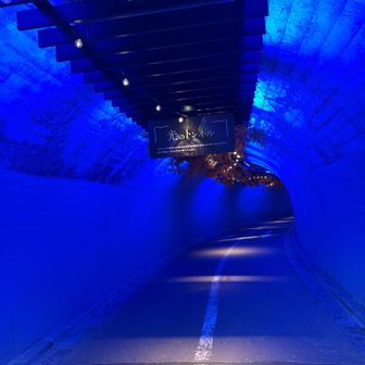 トンネル内ライトアップ