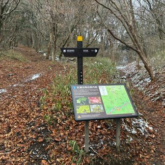 番匠屋畑尾根。知らなくった地名😅