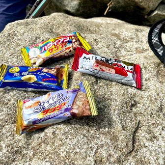 ここで落ち着いて、ブラサンタイム🤤

新作｢ロイヤルミルクティーのブラサン🍫⚡️」
はオイラが頂くことにして、
残りから娘ちんに選ばせてあげたよ😏👍

さて、続きの急な下りもがんばるゾ！🥸✊