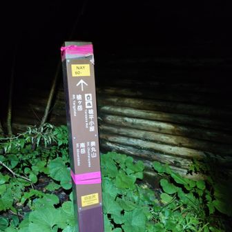 白出沢でルートミスって沢登ってしまった。
夜で真っ暗やししっかり下調べして行かんなんかった…