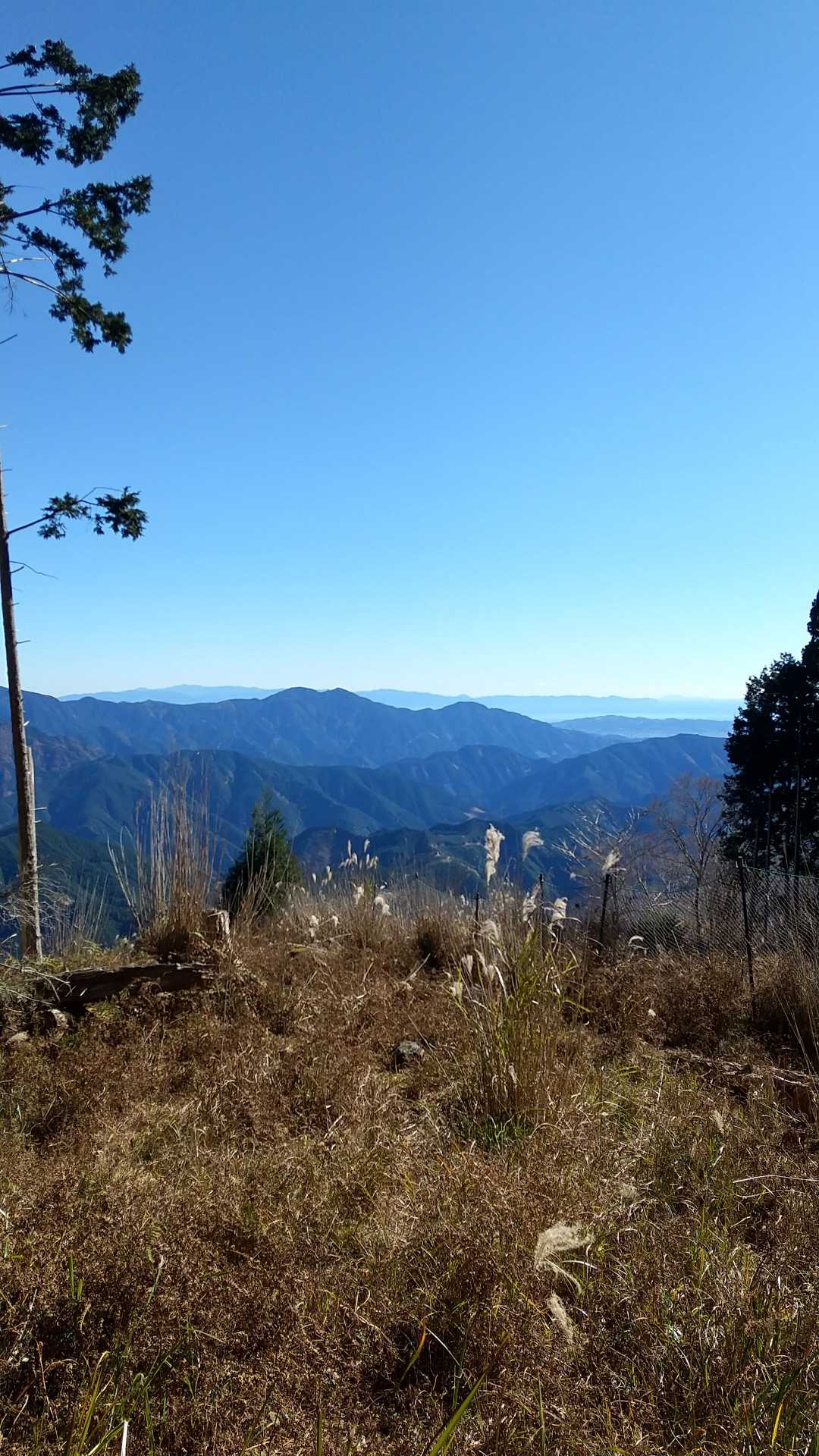 大岳山頂
静岡市方面
竜爪山、若山見えます👍