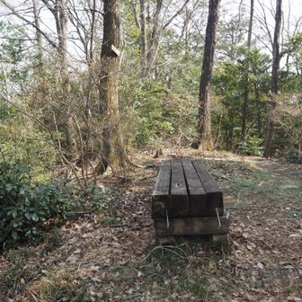 先ほどの「六道辻」から10分ほどで「たかんど山」に到着。
ベンチが１つだけありました。