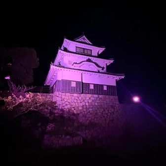 10月はピンクリボン🎀月間でピンク🩷
来月は何色でしょうか…
