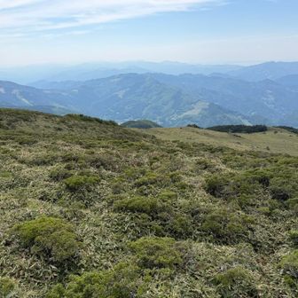 遠くに愛媛の山々