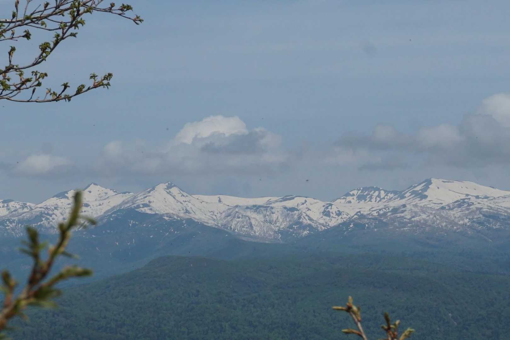 Bコース登山口-神居尻山 往復コースの写真