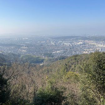 パノラマ岩🪨からの眺望