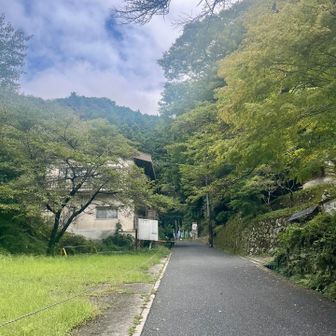 通イ慣レタ コノ道✨