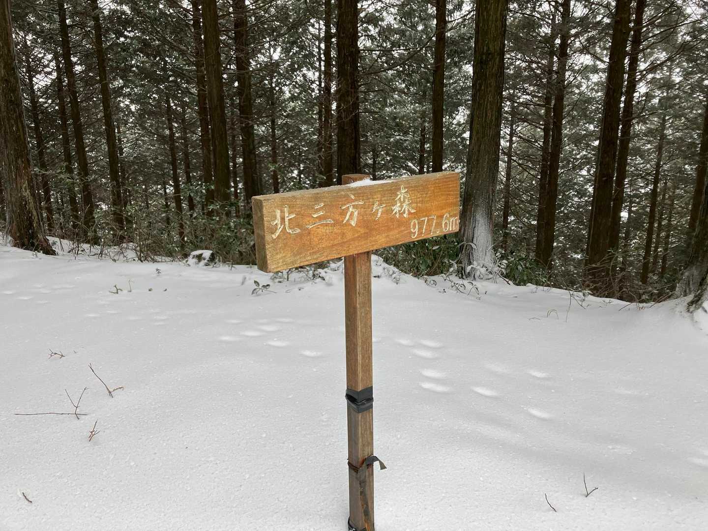 水が峠-北三方ヶ森 往復コースの写真