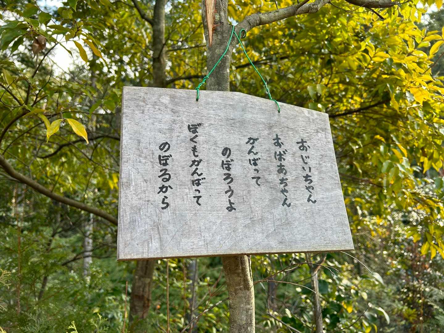 地元の方の温かいメッセージがいっぱい☺️