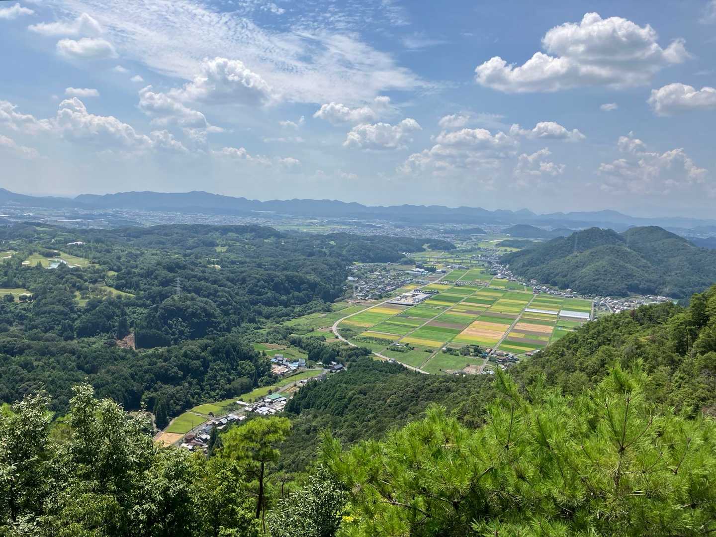 展望台から