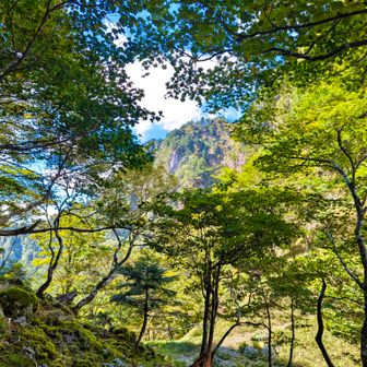 登り返しで右太ももが攣った💦
マッサージしてなんとか回復。