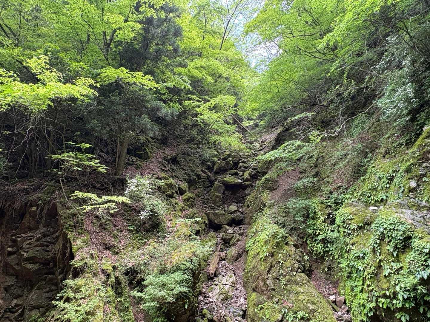 迫力あるんだけど
伝わらないね😅

