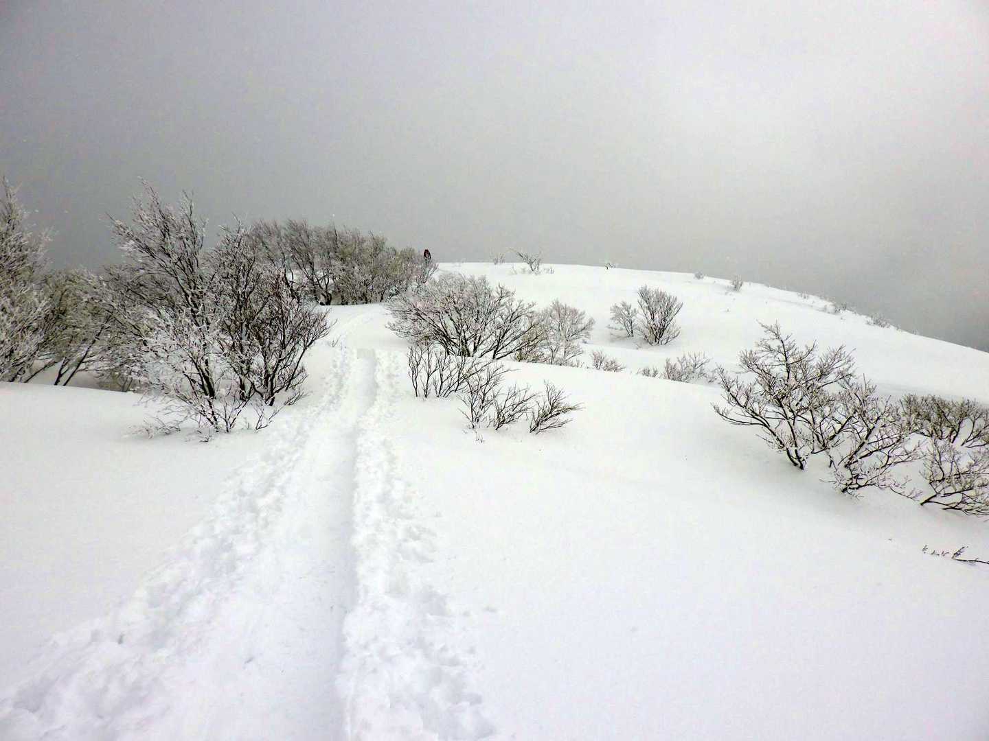 ここを登れば