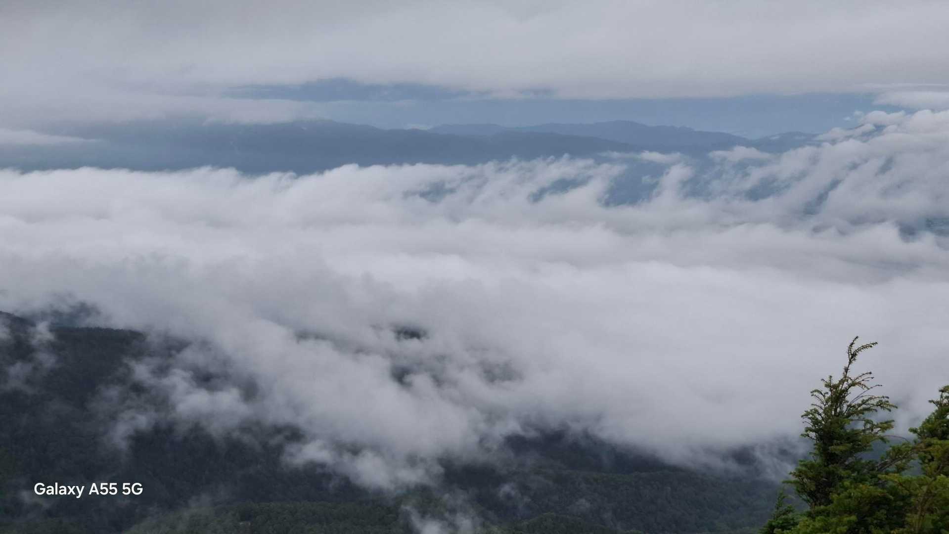 天狗岳（唐沢鉱泉）＜西尾根＞の写真