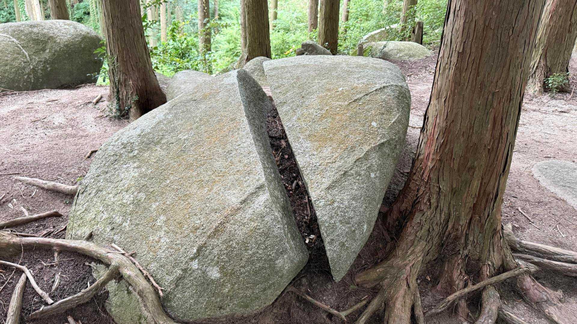 真名子登山口-二丈岳 往復コースの写真