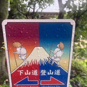 しっかりと区別されてます☝️
さすが富士🗻