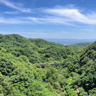 ダムからの眺め　　その-2
小さく🚃が走っているのが見えました♪
ジオラマのようでした♪
