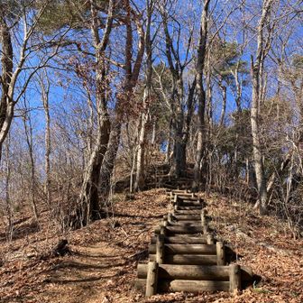 こんな無慈悲な急登が多数出現しました😂