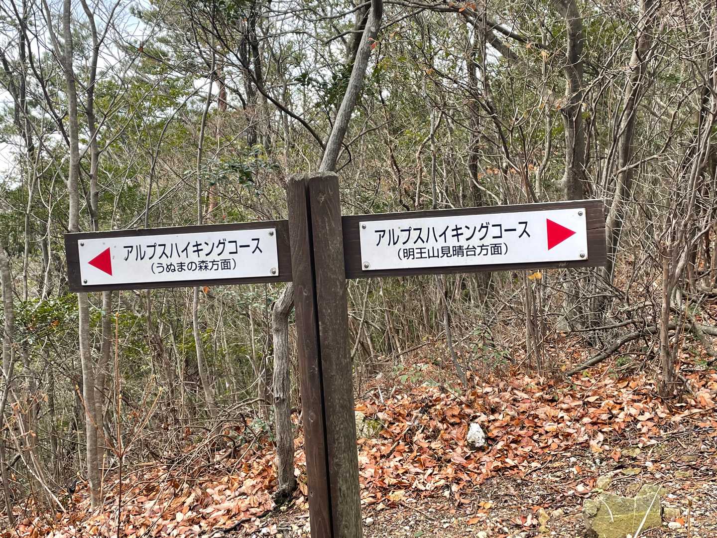 ここからもうぬまの森に行けるんだ
休園でも山登りはＯＫかな⁉️