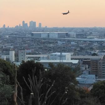県営名古屋空港へ着陸✈