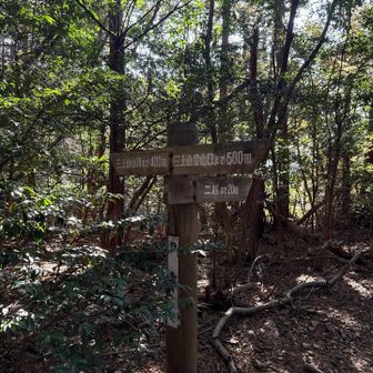 二越の展望台へ寄り道。すぐそこです