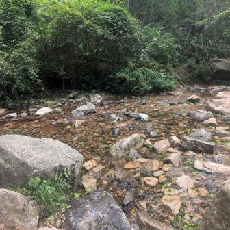 川で手を洗いました、気持ちよ〜✨(*^^*)