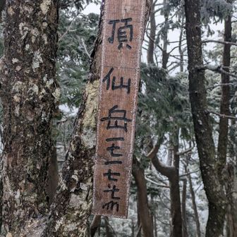 初めての頂仙岳山頂。
展望はありません😀