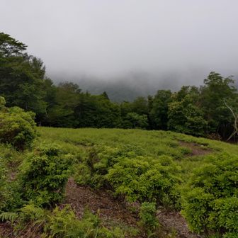 雲がかかってきそう。
この先、地図にルートが載ってなく不安なので、なんとか暗くなる前に蝙蝠峠までは行きたいが…