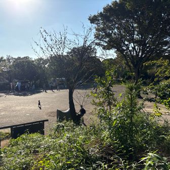 加瀬山山頂より。眩しい。