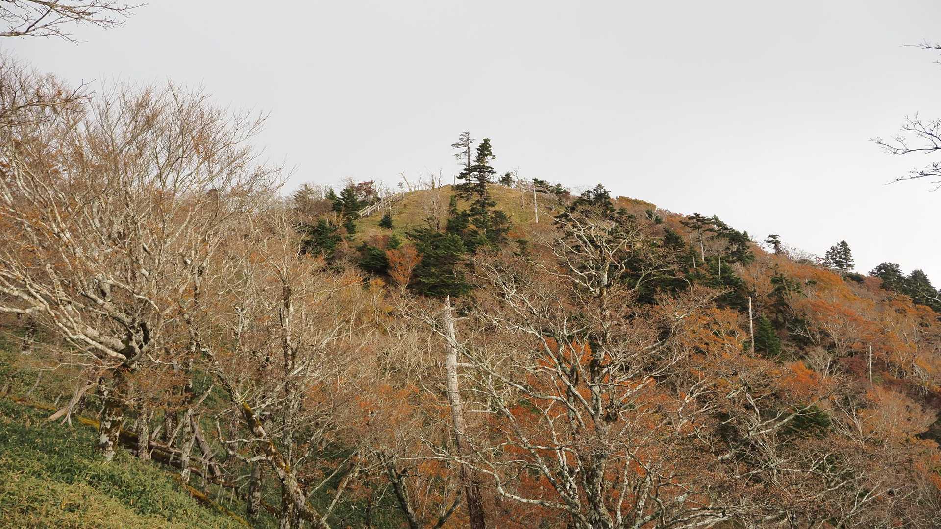 山頂