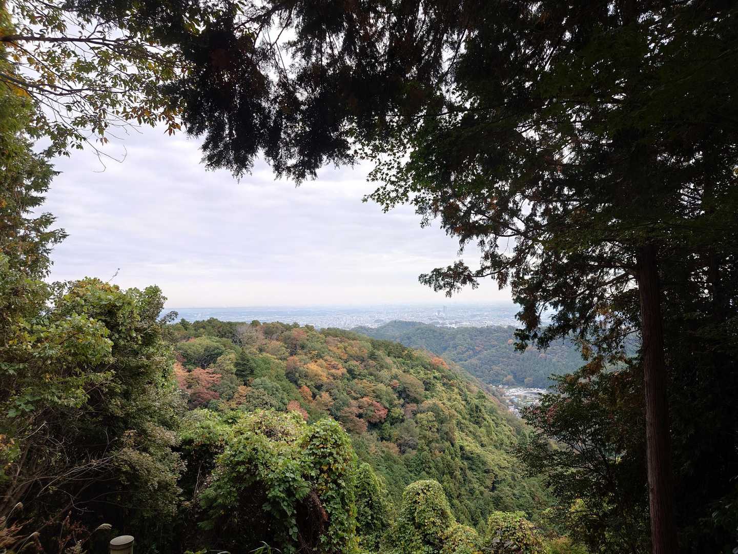 稲荷山からの風景