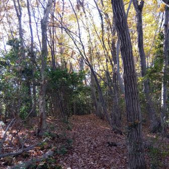 紅葉が綺麗✨気持ちいい☺️最高❗️