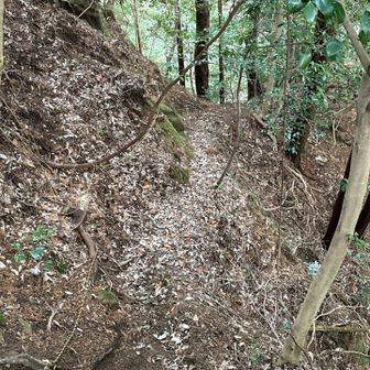 六甲山・長峰山・摩耶山 ロープに沿って斜面をトラバース