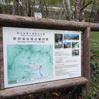 西沢渓谷周辺案内図