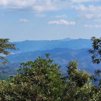 佐賀関方面　樅木山⛰️かな❓🤔
