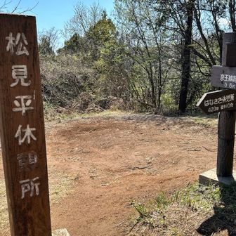 平日ですが、多くの人がランチを楽しんでいます