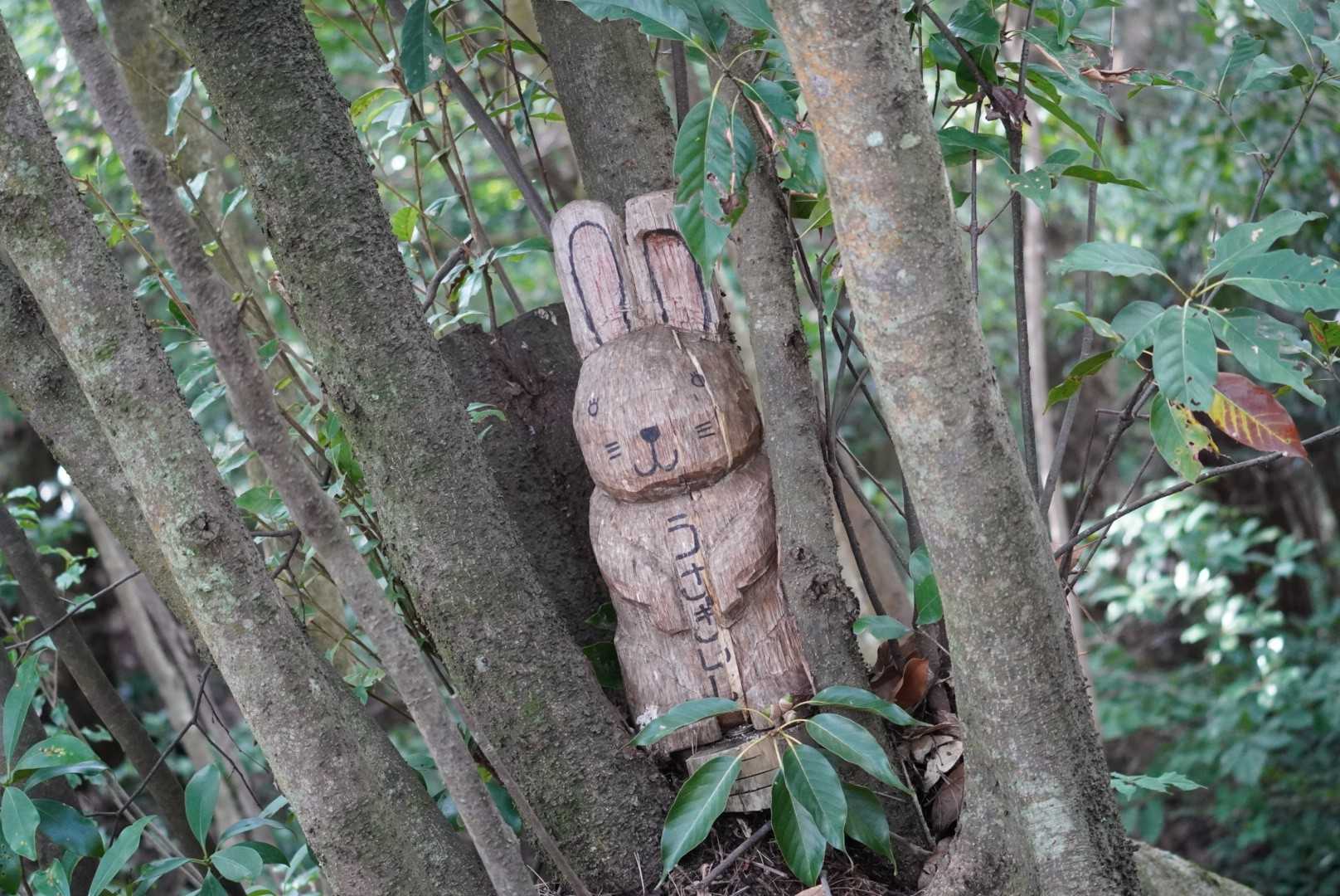 久しぶりやね～